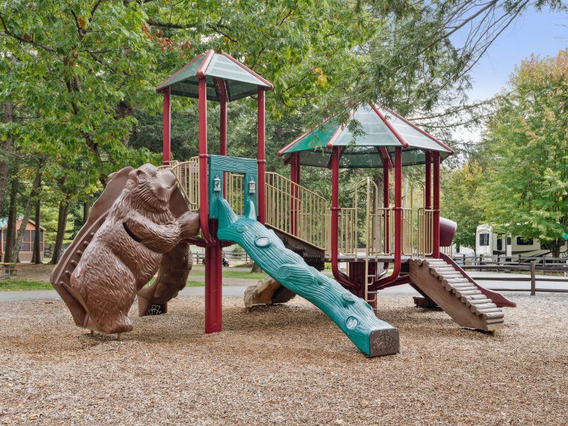 Bears Den Playground 2 5